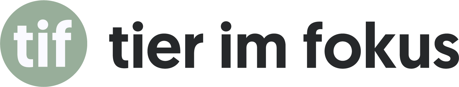 Nouveau logo de TIF